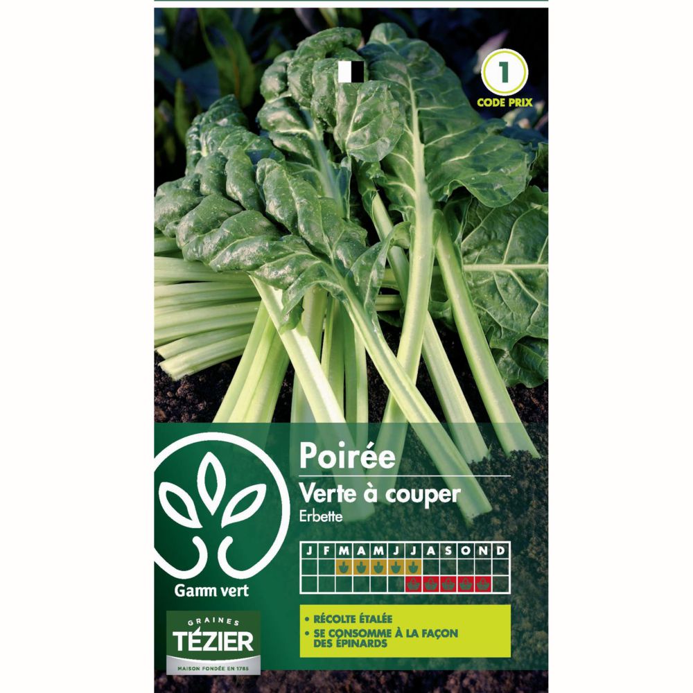 Poirée verte à couper (Erbette)