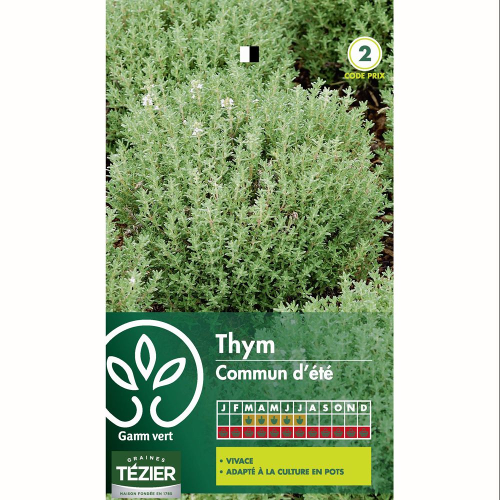 Thym commun