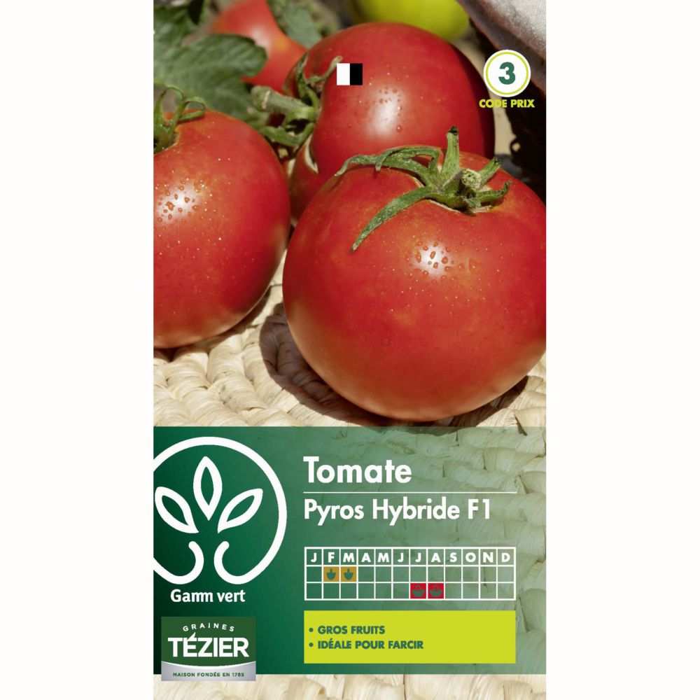 Tomate Pyros HF1