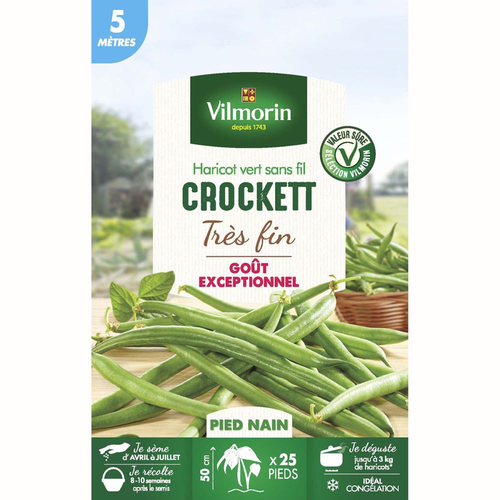 Les Meilleurs Haricots Verts Sans Fils