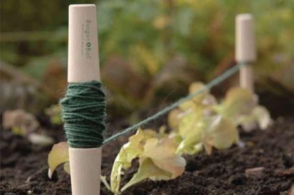 Ligne de Plantation - Burgon et Ball