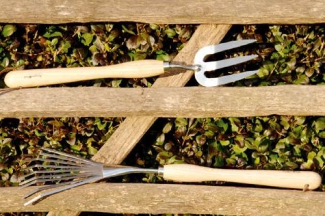 Fourche ActionnÃ©e par le Milieu en Acier Inoxydable RHS - Burgon et Ball