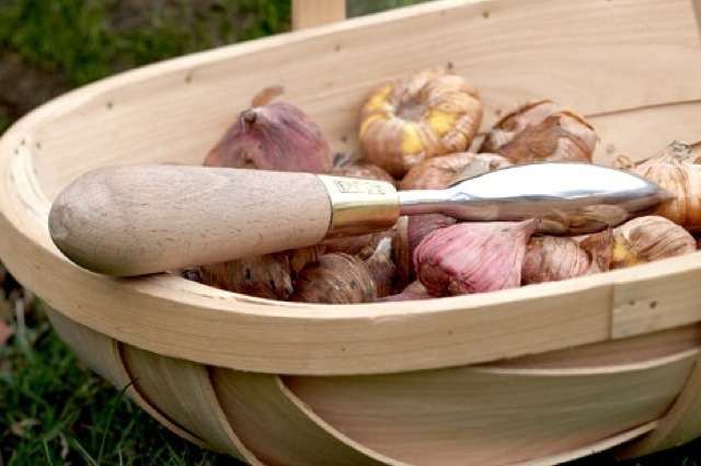 Plantoir SC - Burgon et Ball