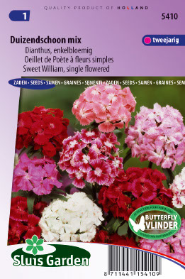 Oeillet de PoÃ¨te Ã  fleurs simples Mix