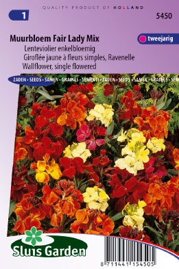 GiroflÃ©e Ã  fleurs simples Fair Lady mix