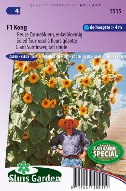 Tournesol, Tournesol Ã  fleurs gÃ©antes F1 Kong