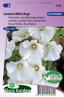 LavatÃ¨re Ã  grande fleurs White Regis (Mauve fleuri)
