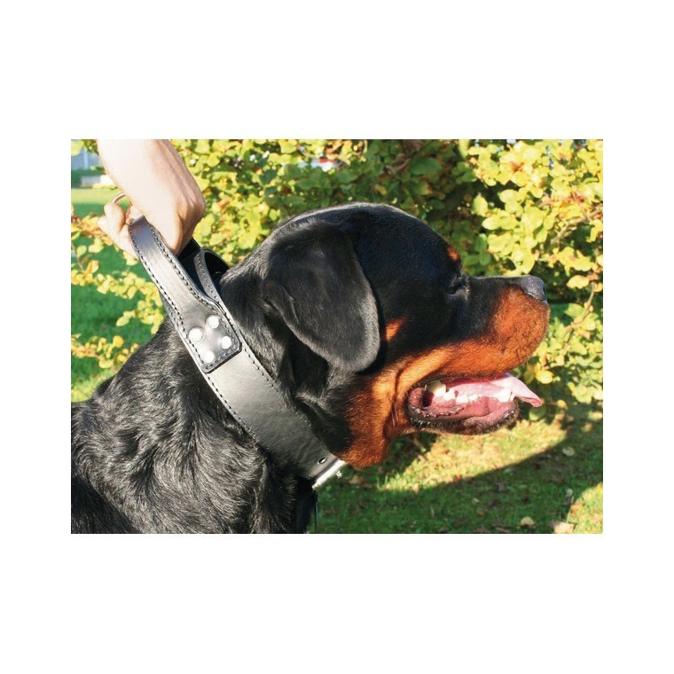 Collier chien 75cm double intervention 50mm