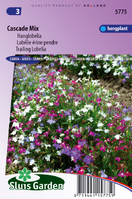 LobÃ©lie Ã©rine pendre Cascade Mix