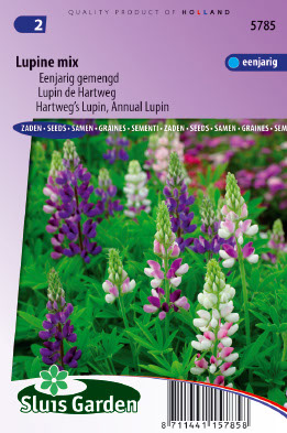 Lupin de Hartweg annuelle en mÃ©lange