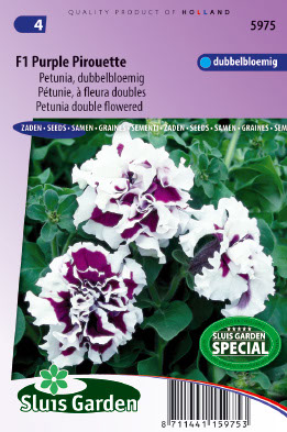 Petunia Ã  fleurs doubles F1 Purple Pirouette