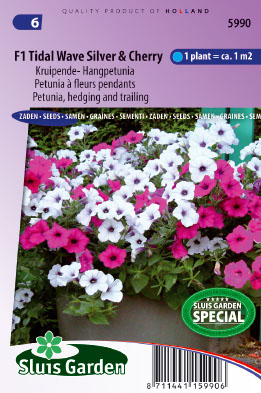 Petunia Ã  fleurs pendants F1 Tidle Wave SIlver & Cherry