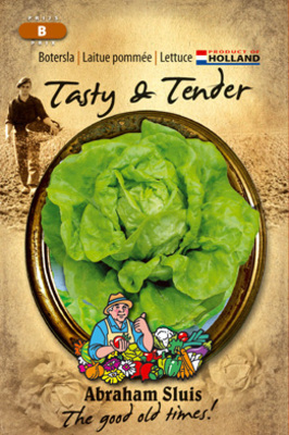 Laitue Tasty en Tender