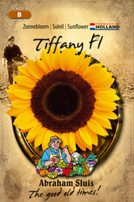 Soleil annuus Tiffany F1