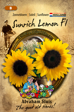 Soleil annuus Sunrich Lemon F1