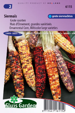 MaÃ¯s d'Ornement grandes variÃ©tÃ©s
