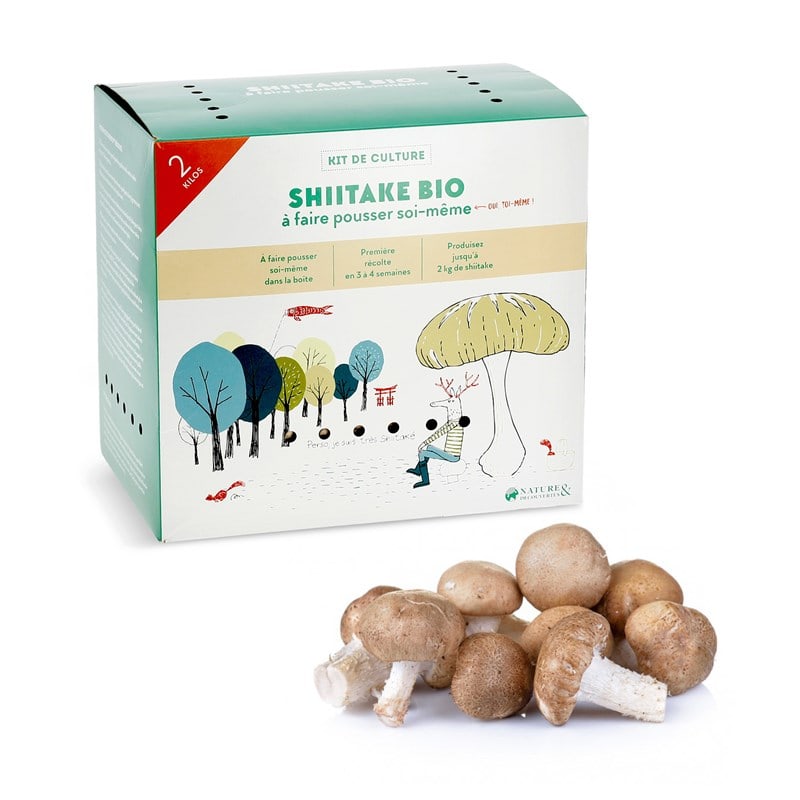 Champignons Shiitake à faire pousser