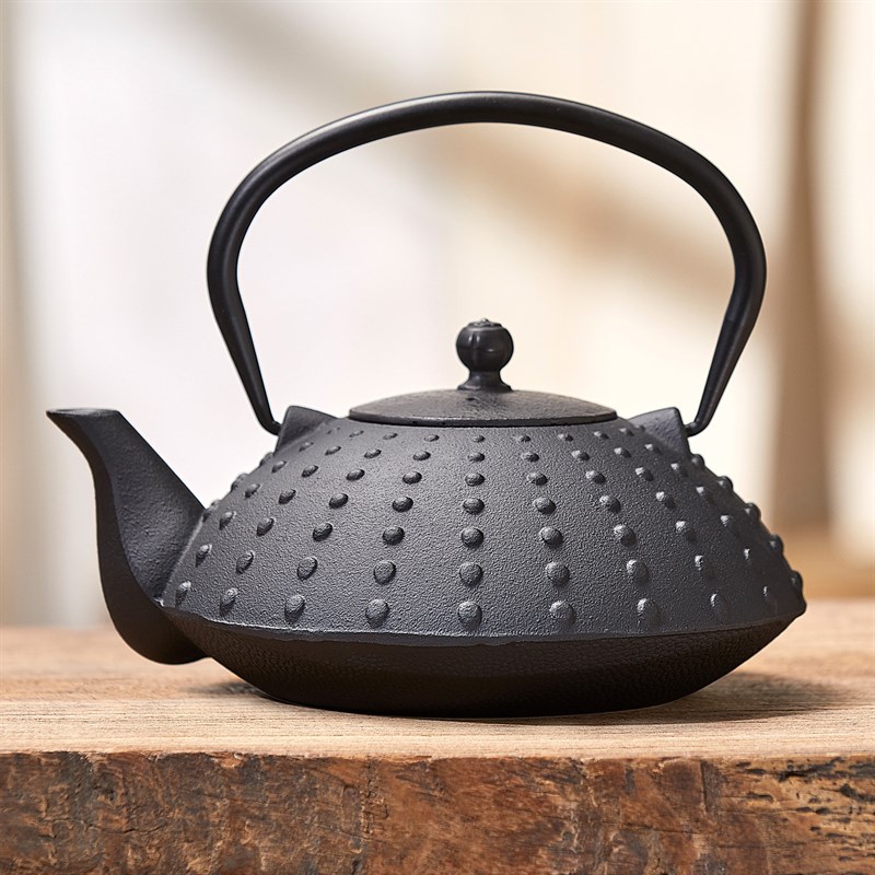 Théière en fonte Tensu