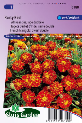 TagÃ¨te Oeillet dÂ´Inde naine double Rusty Red