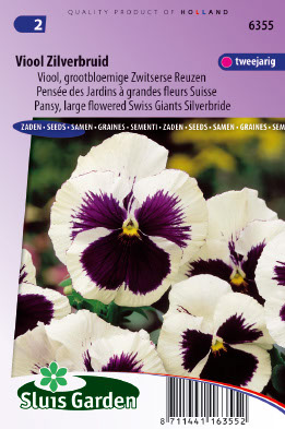PensÃ©e des Jardins Ã  grandes fleurs Suisse Silverbride