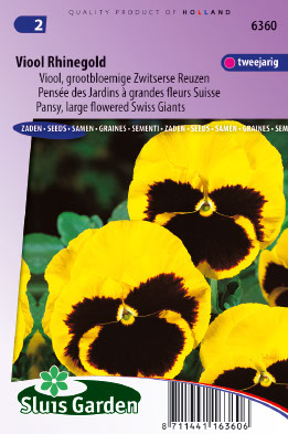 PensÃ©e des Jardins Ã  grandes fleurs Suisse Rhinegold
