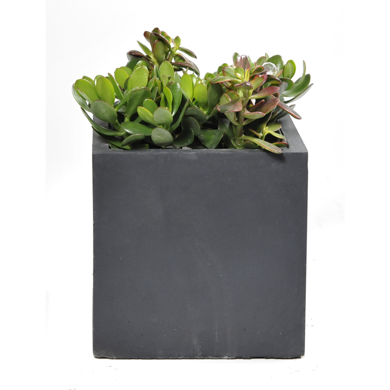 Pot carré GENEVE 28x28xH.28 Gris
