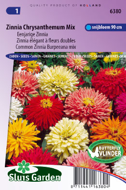 Zinnia Ã©lÃ©gant Ã  fleurs doubles Chrysanthemum Mix
