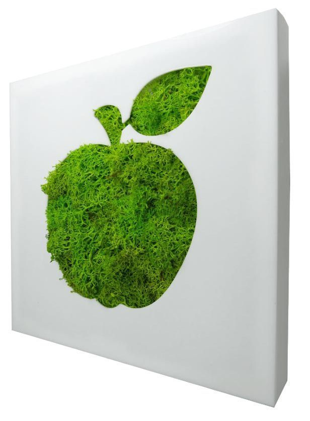 Tableau végétal Picto Pomme en lichen stabilisé 20cm