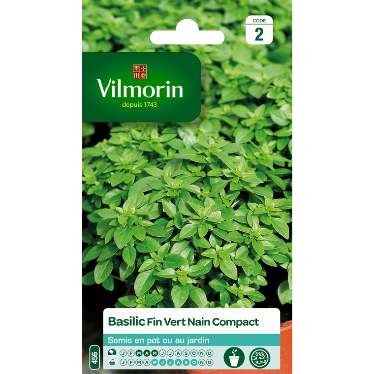 Basilic fin vert compact