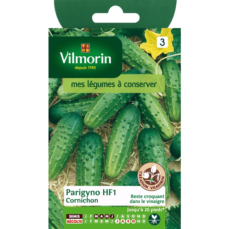Cornichon parigyno