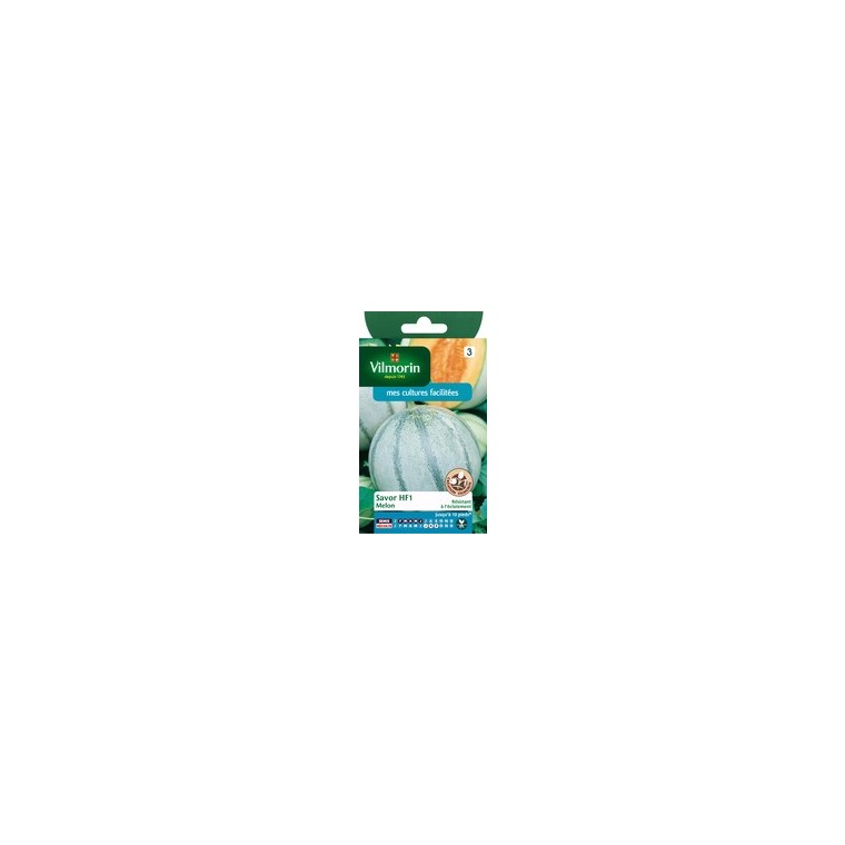Melon savor HF1