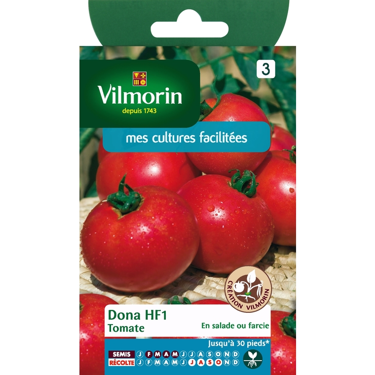 Tomate dona HF1
