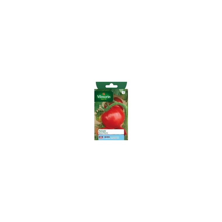 Tomate saint pierre
