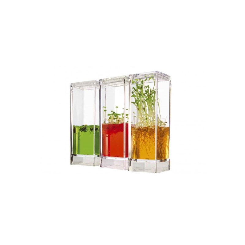 Kit plantarium