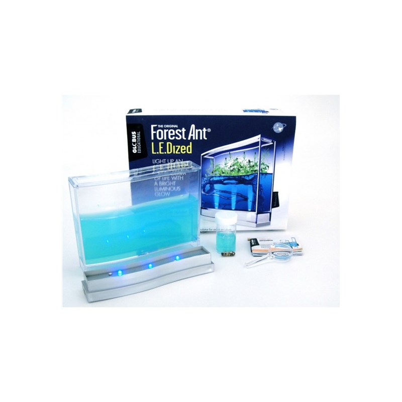 Kit super fourmiliere forest base led