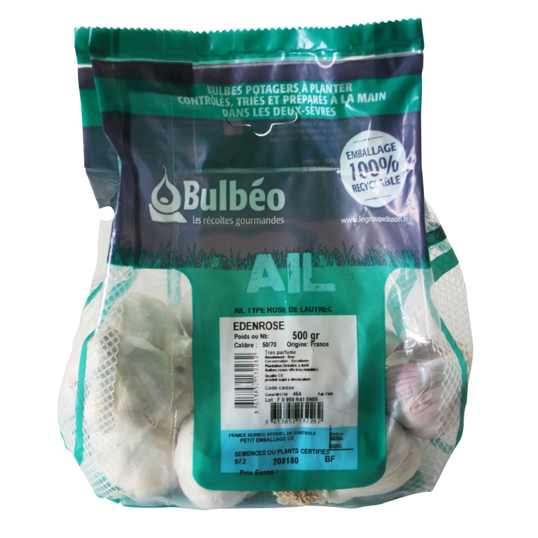 Bulbes d’ail rose edenrose 500 g calibre 50/70