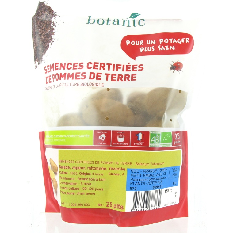 Pommes de terre Ditta bio calibre 0001, 25 plants