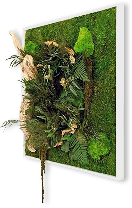 Tableau végétal nature carré XL avec plantes stabilisées