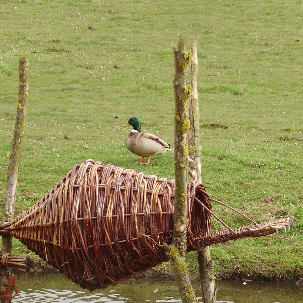 Panier rond pour canards