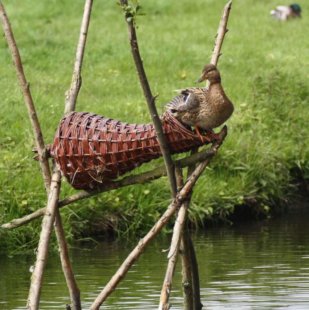Panier long pour canards