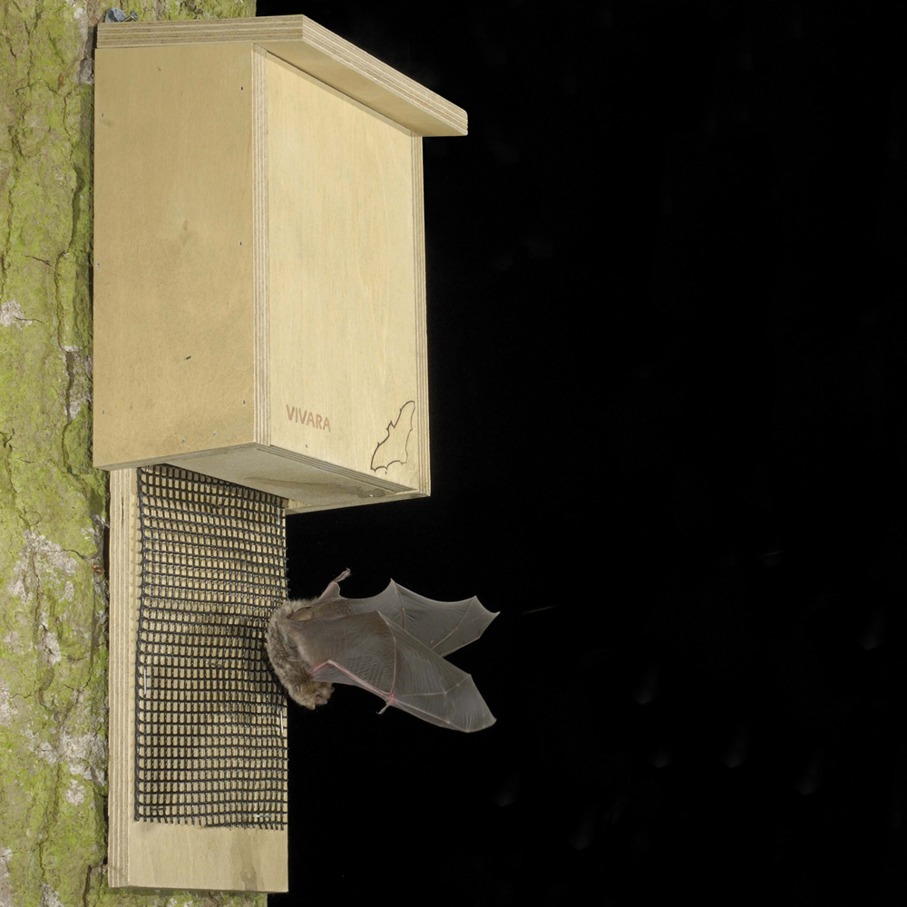 Gîte pour chauves-souris