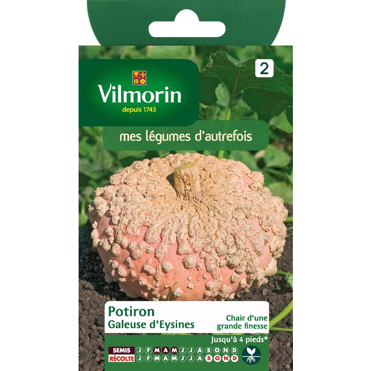 Courge galeuse