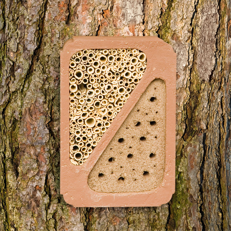Bloc à insectes