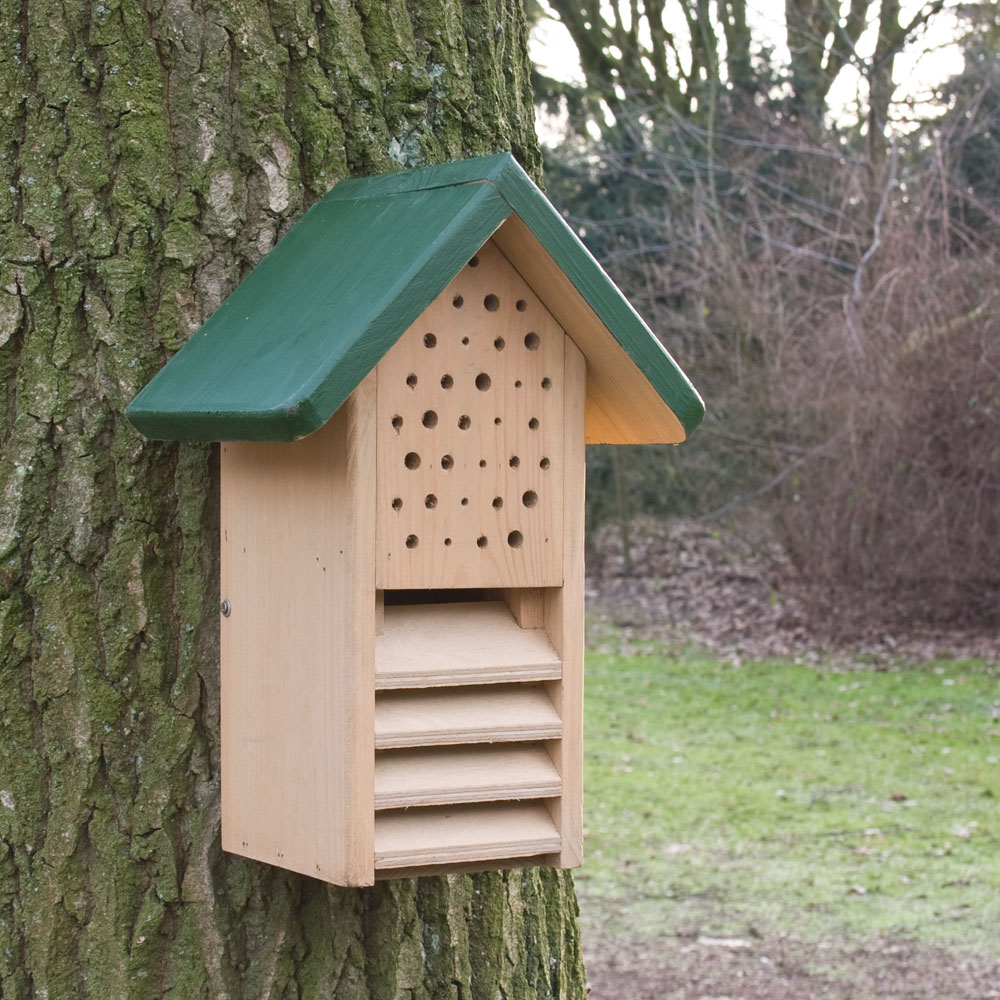 Armoire bifonctionnelle pour abeilles et coccinelles - verte