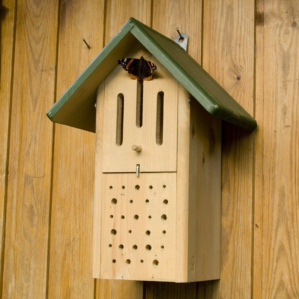 Armoire bifonctionnelle pour abeilles et papillons - verte