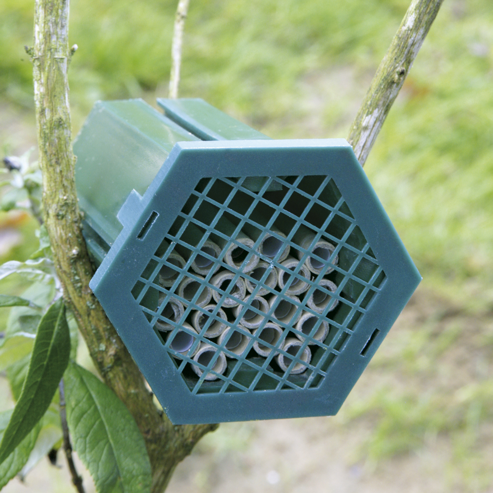 Nichoir pour abeilles solitaires