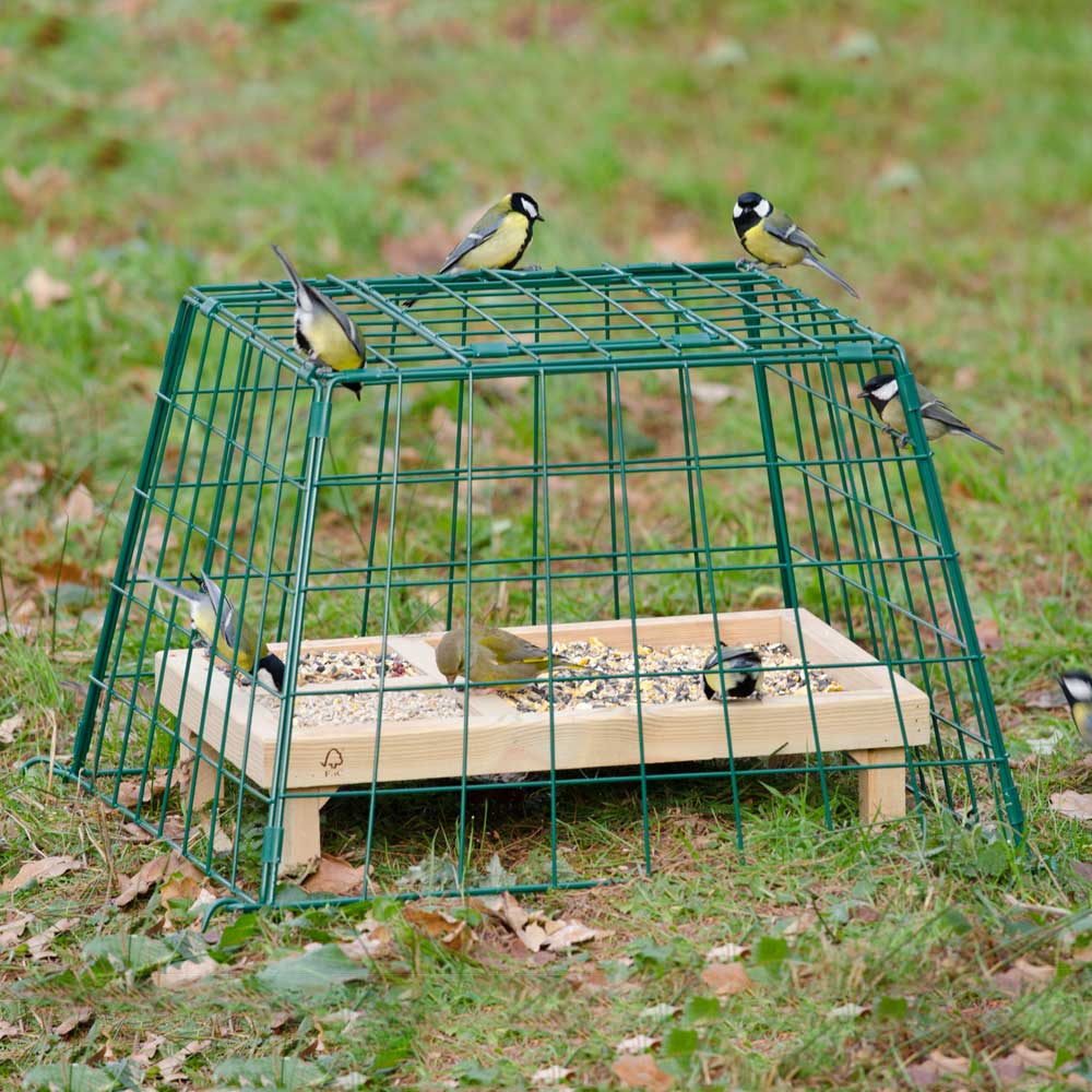 Cage de protection grandes mailles