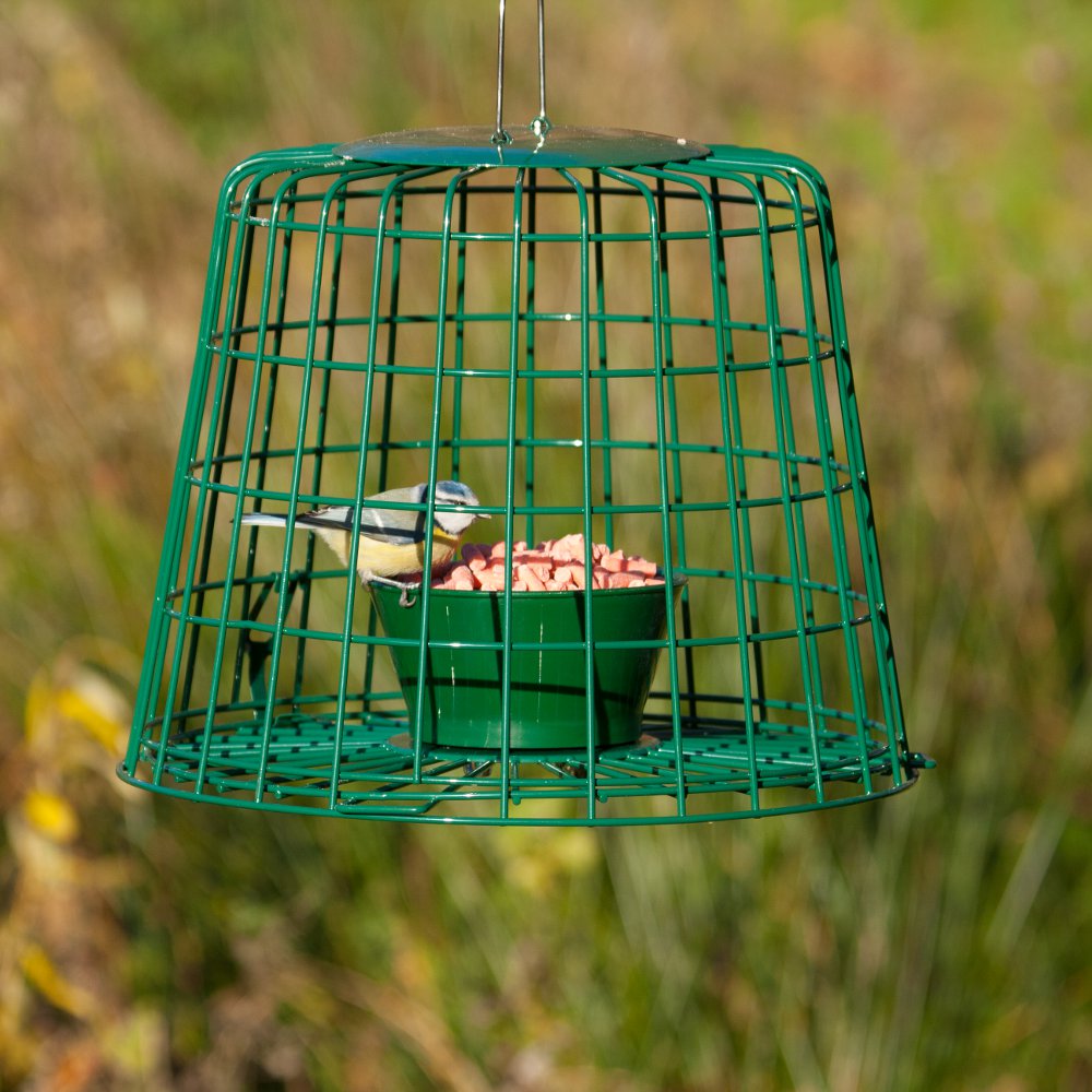Cage de protection pour friandises et vers de farine