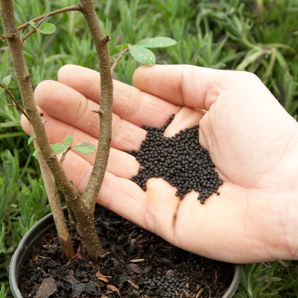 Aliments biologiques pour plantes