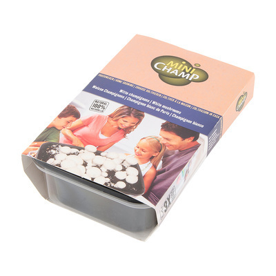Kit de culture de champignons de Paris
